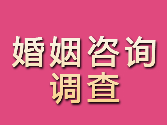 振安婚姻咨询调查