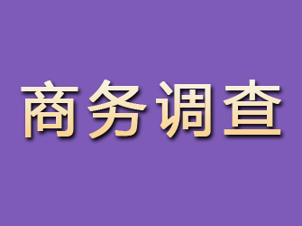 振安商务调查